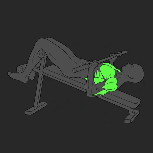 Decline Barbell Bench Press: bottom position, bar on lower chest