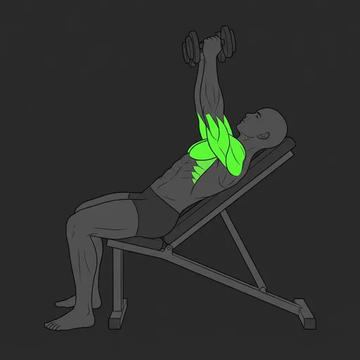 Incline Dumbbell Press: top position, arms fully locked out